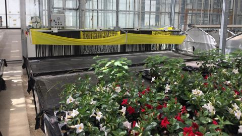 Le système innovant C@sper est présenté au salon du Végétal 2019 à Nantes.